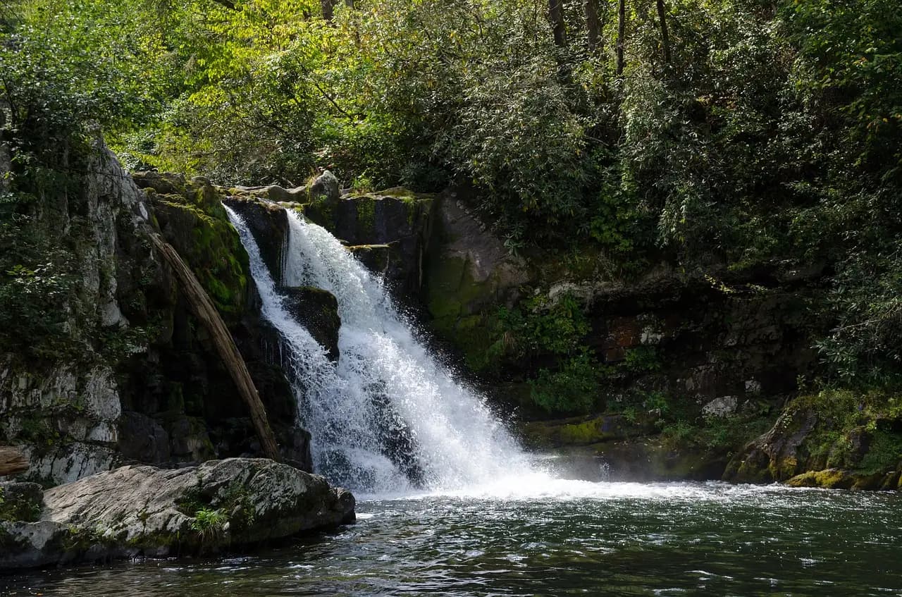 Blog - Abrams Falls