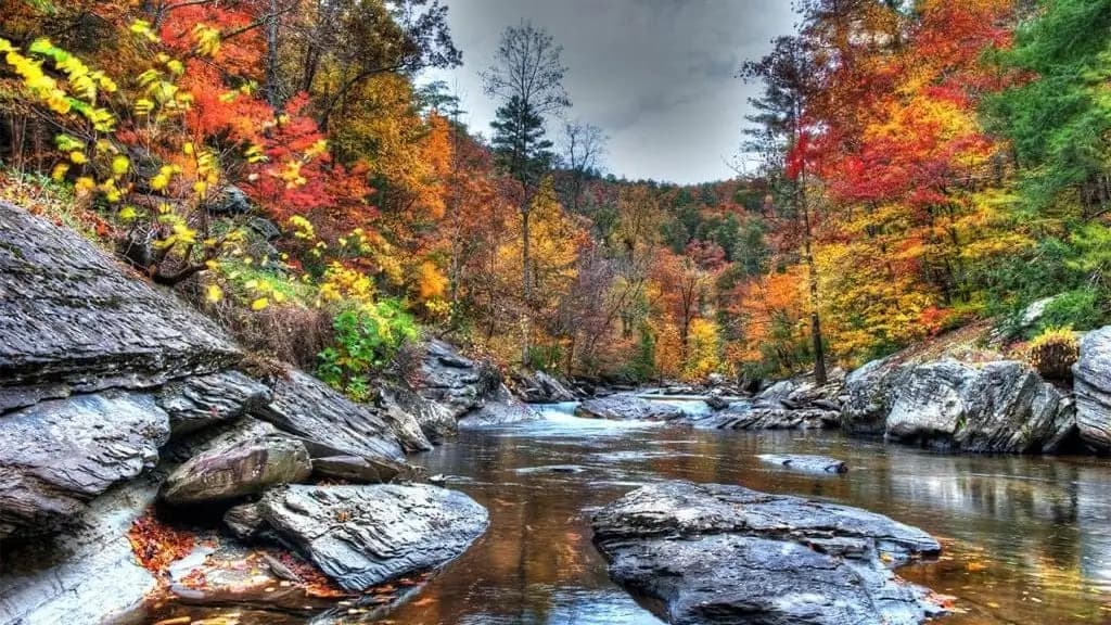 Blog - Bald Creek in the Fall