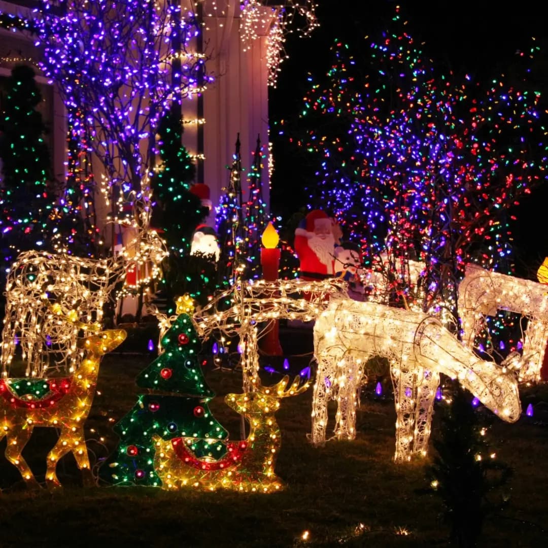 Blog - Christmas Lights in the Smokies