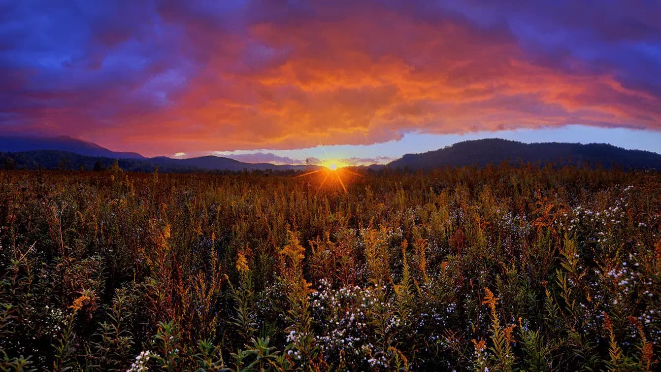 Great Smoky Mountains National Park Hiking