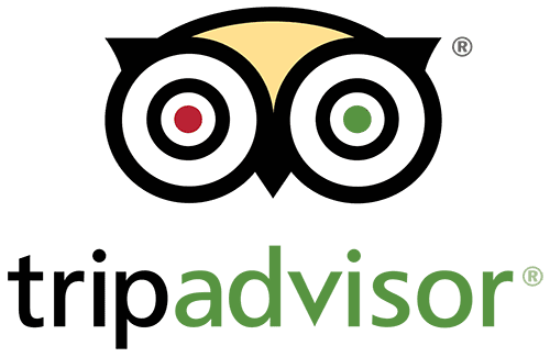 Trip Advisor Logo