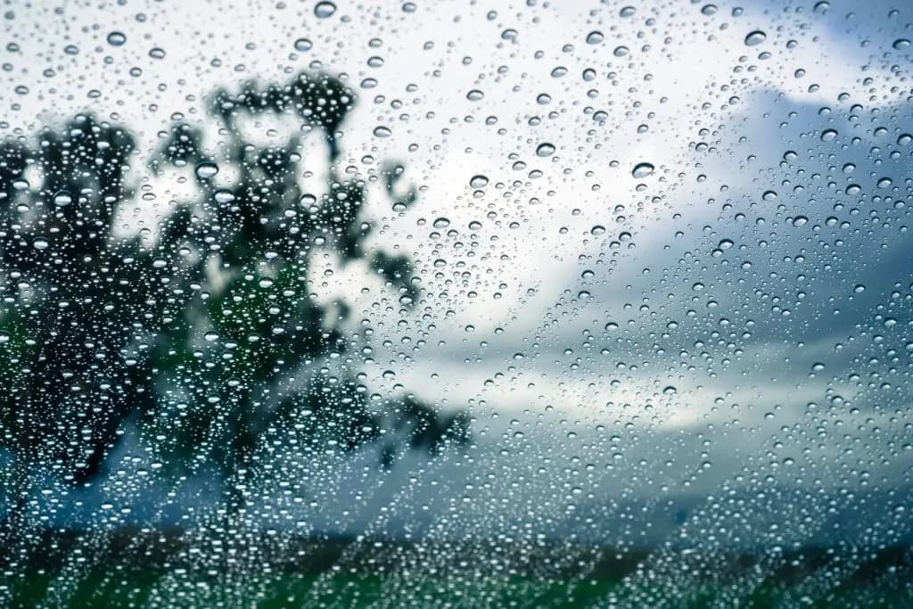 Blog - Rain on Windows