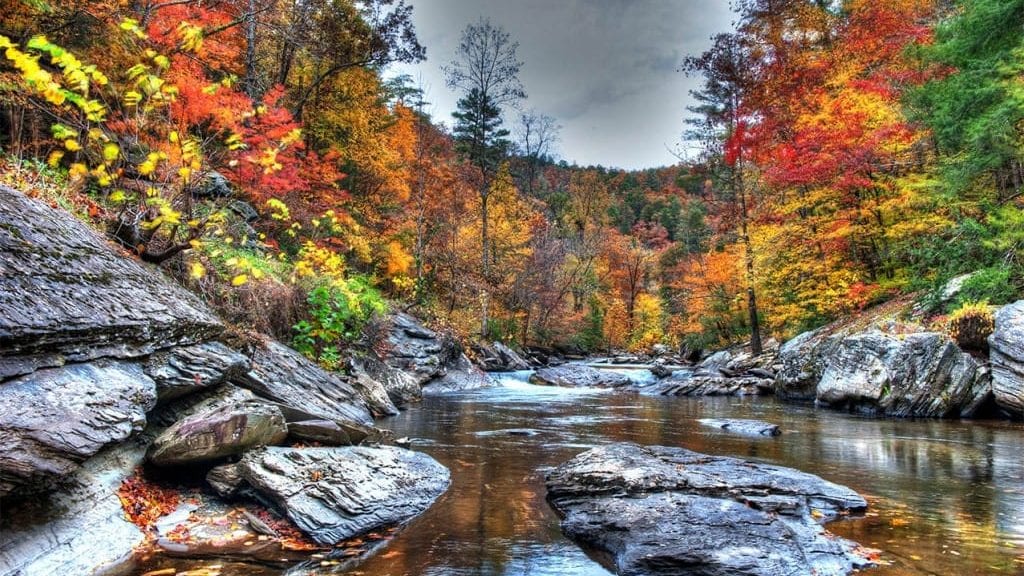 Top 10 Things To Do This Fall In Pigeon Forge And Gatlinburg Topjump